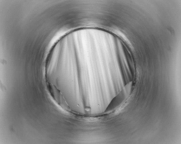 X0000090721424200708101544