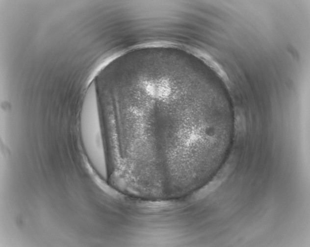 X0000090721425200708101544
