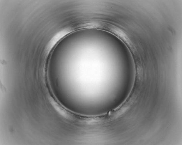X0000090721426200708101544