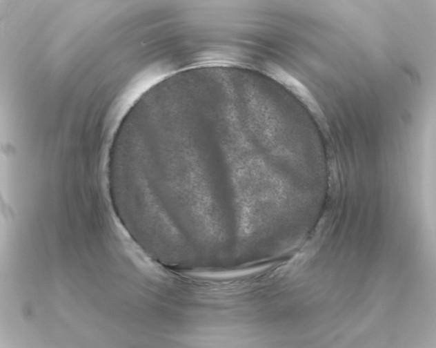 X0000090721427200708101544