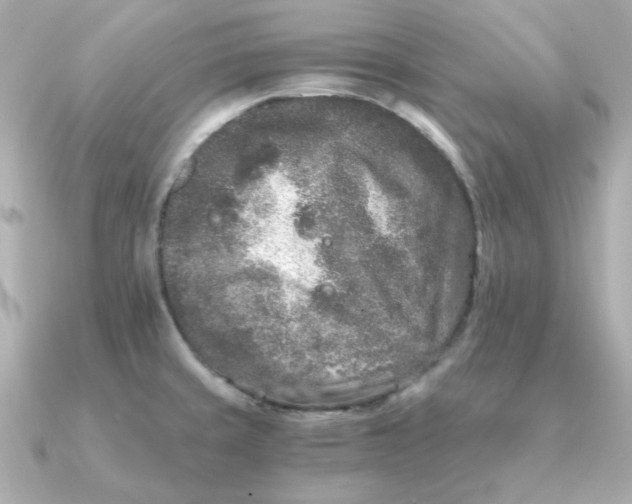 X0000090721429200708101544
