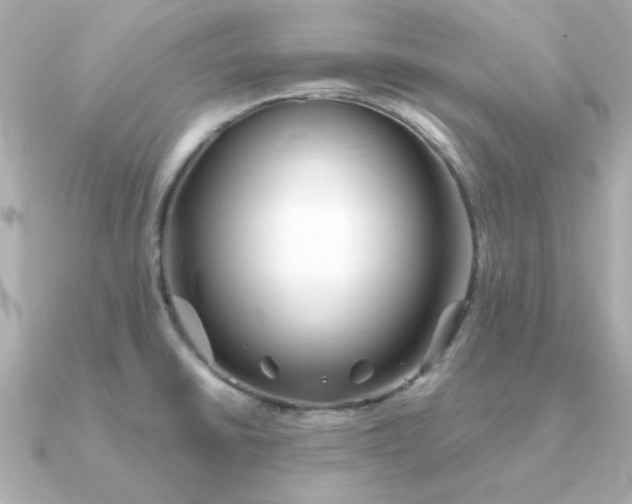 X0000090721430200708101544