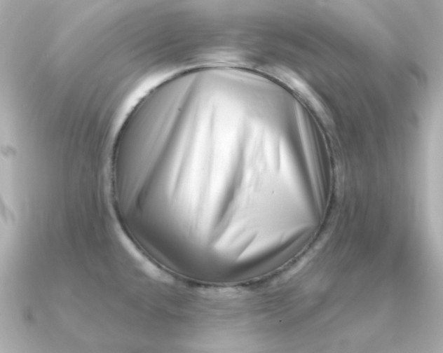 X0000090721432200708101544