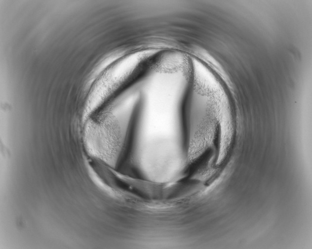 X0000090721433200708101544