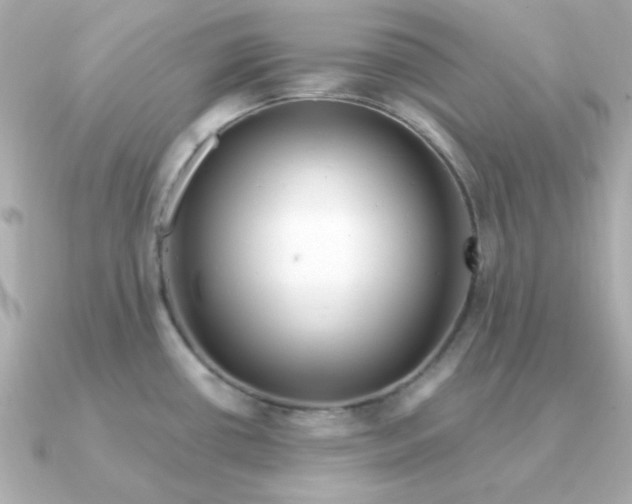 X0000090721434200708101544