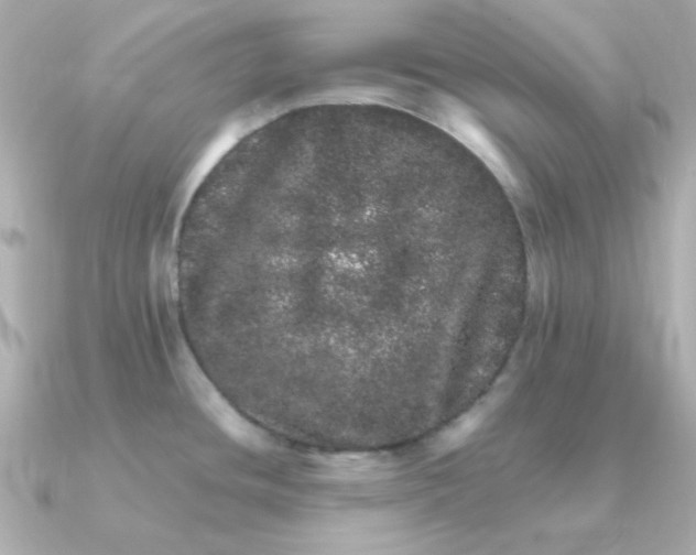 X0000090721436200708101544