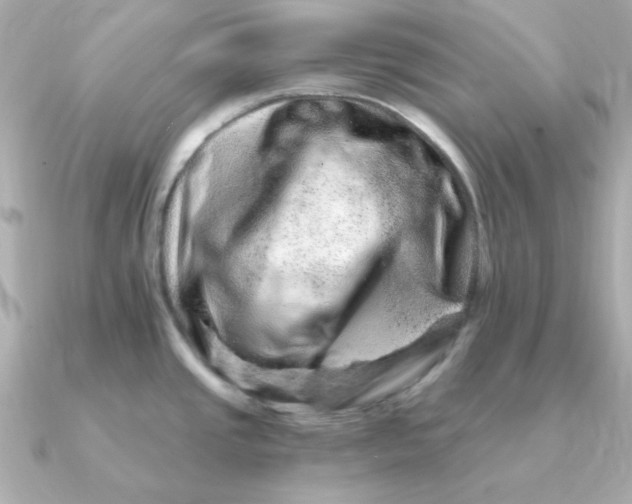 X0000090721437200708101544