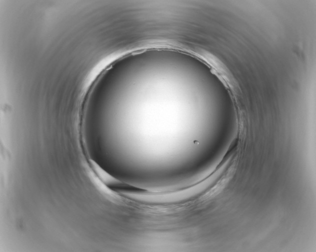 X0000090721438200708101544