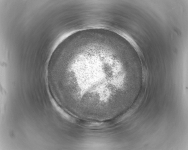 X0000090721439200708101544