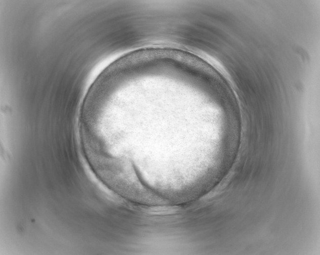 X0000090721440200708101544