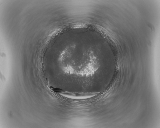 X0000090721441200708101544