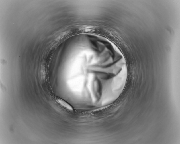 X0000090721442200708101544