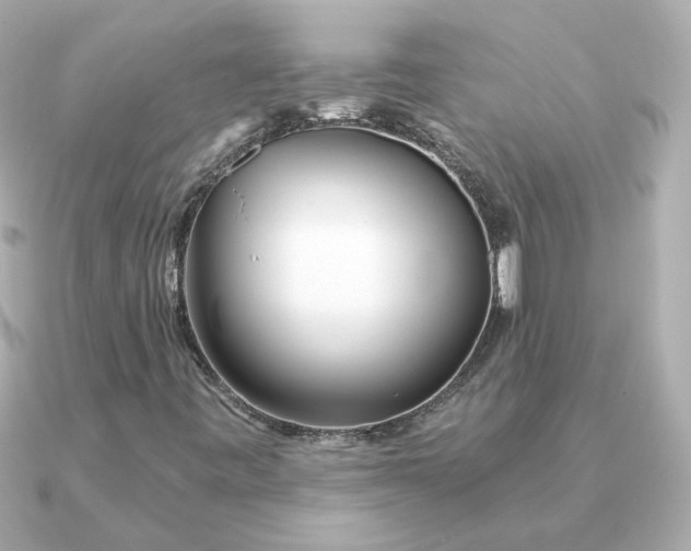 X0000090721443200708101544