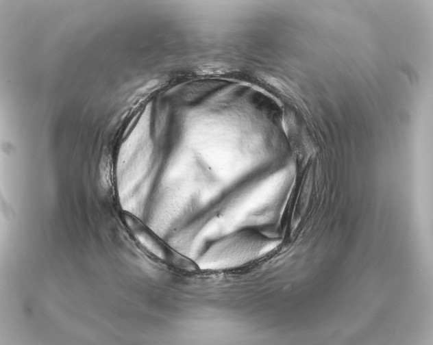 X0000090721444200708101544