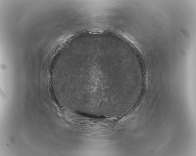 X0000090721445200708101544