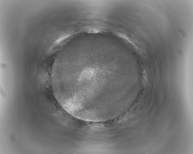 X0000090721446200708101544