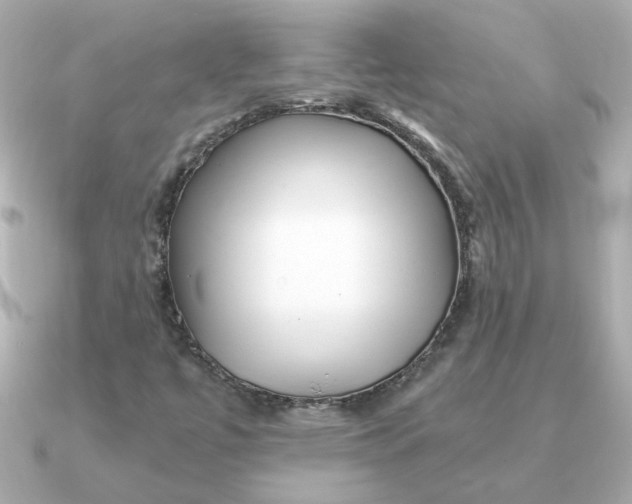 X0000090721447200708101544