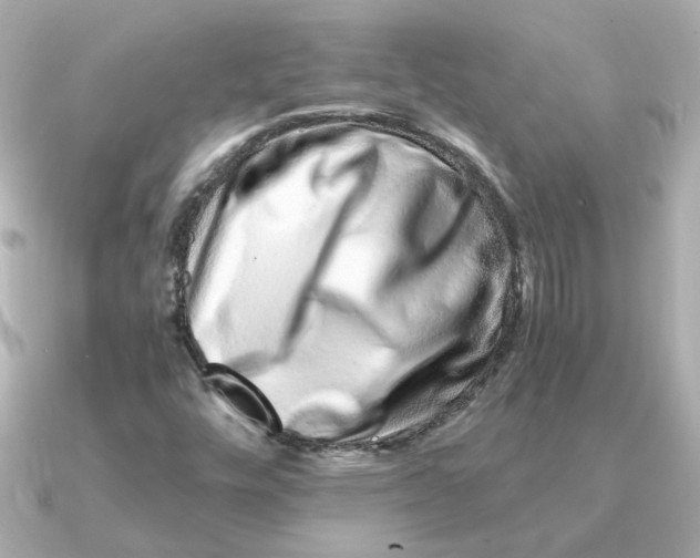 X0000090721448200708101544