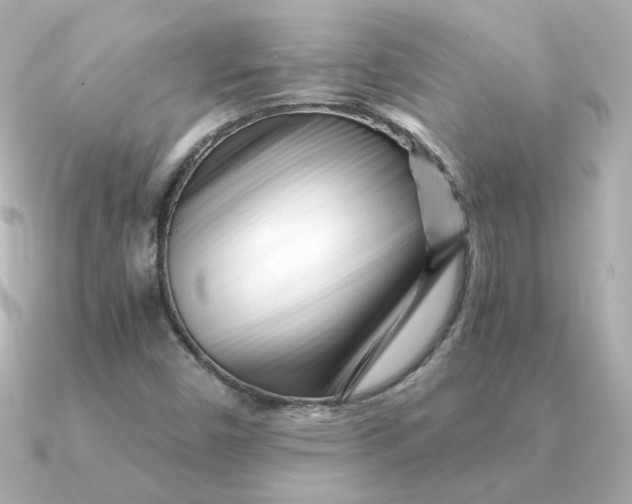 X0000090721450200708101544