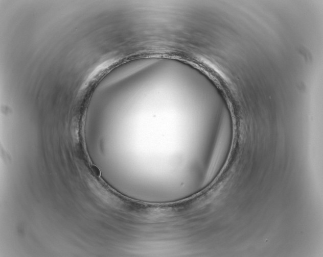 X0000090721451200708101544