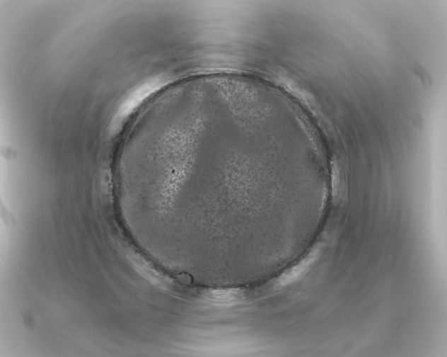 X0000090721453200708101543