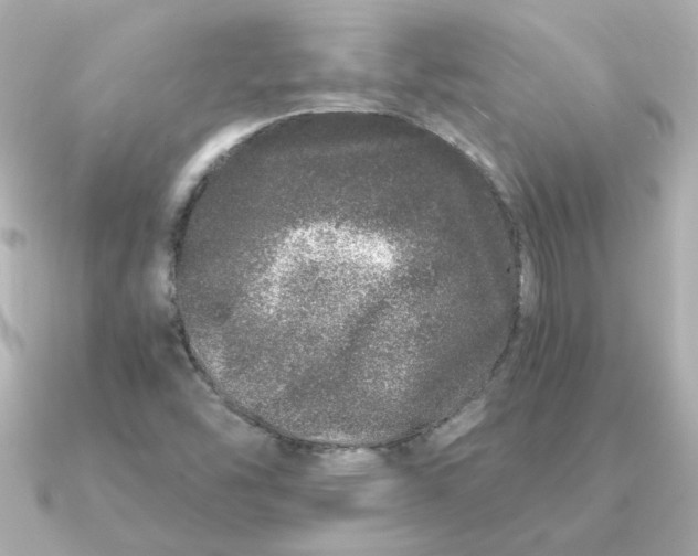 X0000090721454200708101543