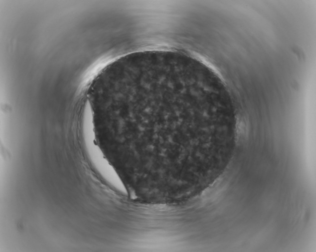 X0000090721455200708101543