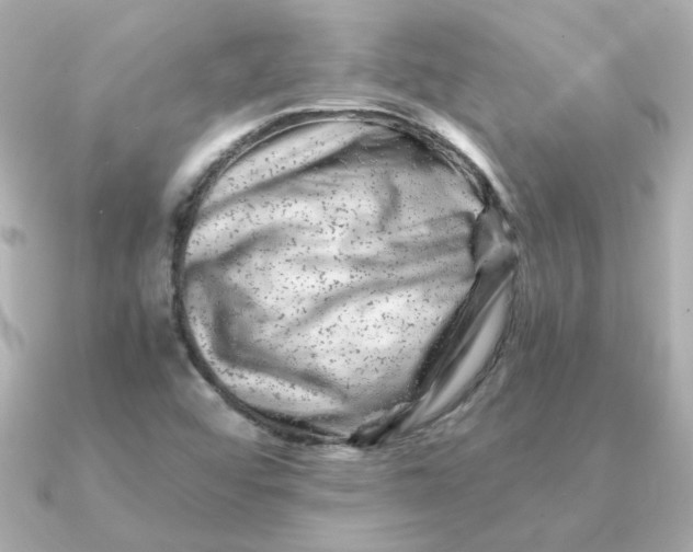 X0000090721456200708101543
