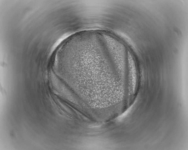X0000090721457200708101543