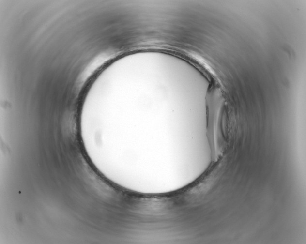 X0000090721458200708101543