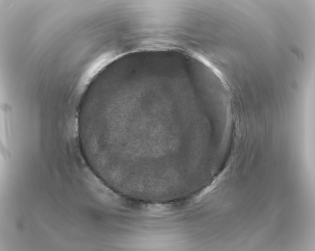 X0000090721459200708101543