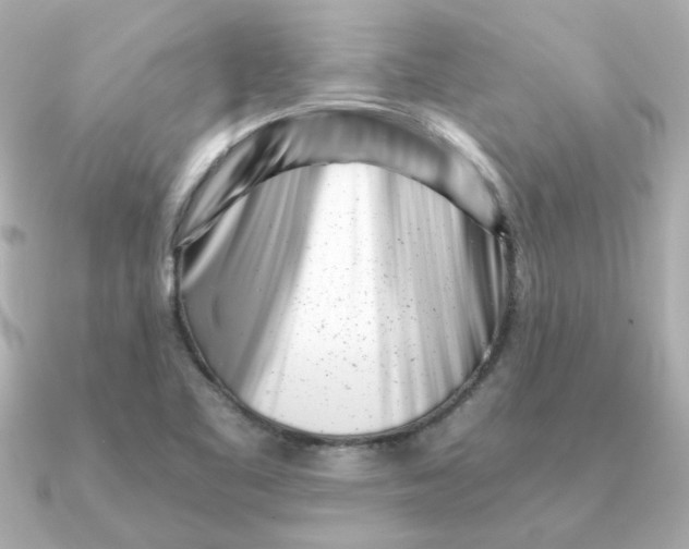 X0000090721461200708101543