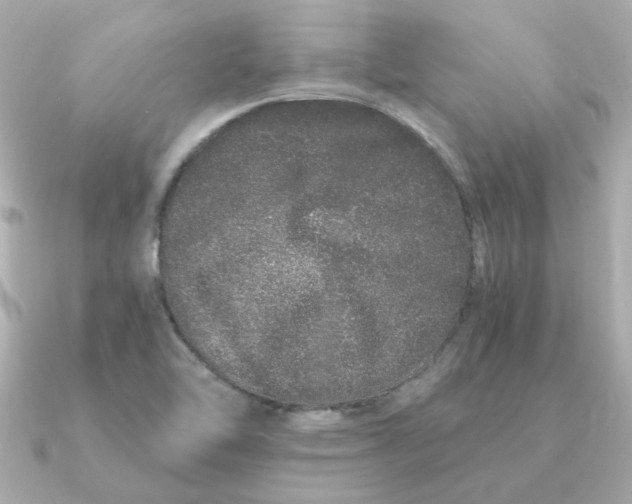 X0000090721462200708101543