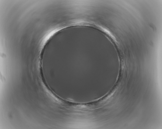 X0000090721463200708101543