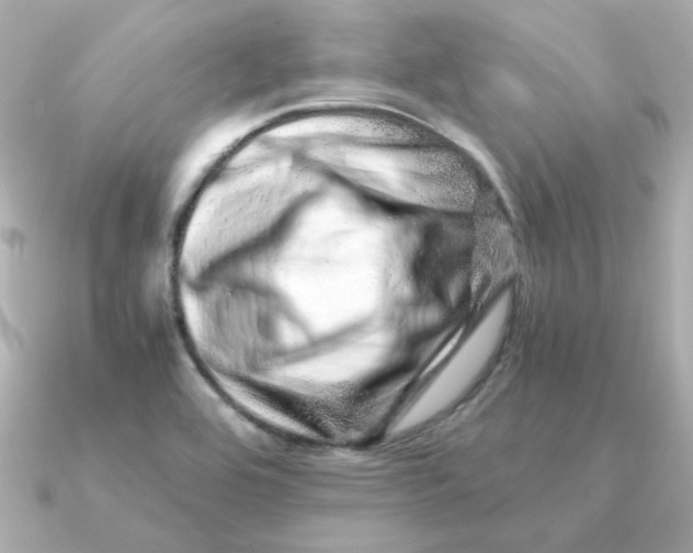X0000090721464200708101543
