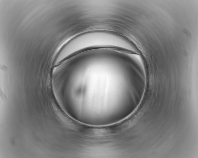 X0000090721465200708101543