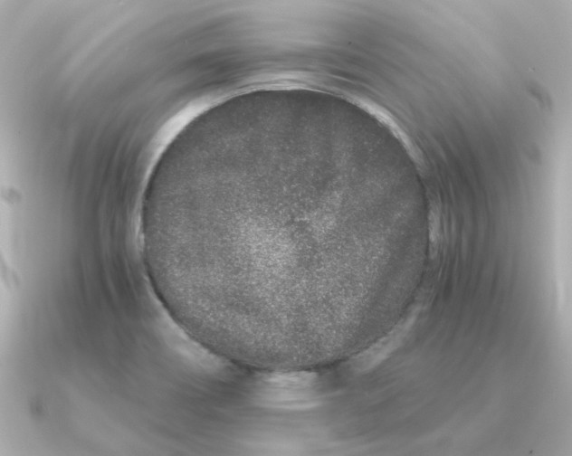 X0000090721466200708101543