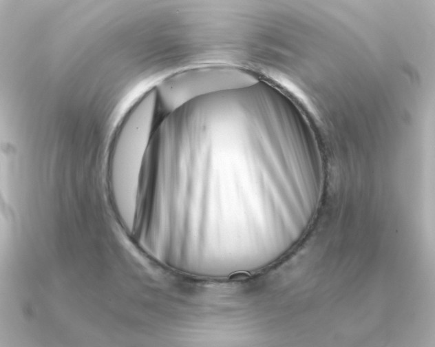 X0000090721469200708101543