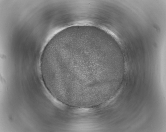 X0000090721470200708101543