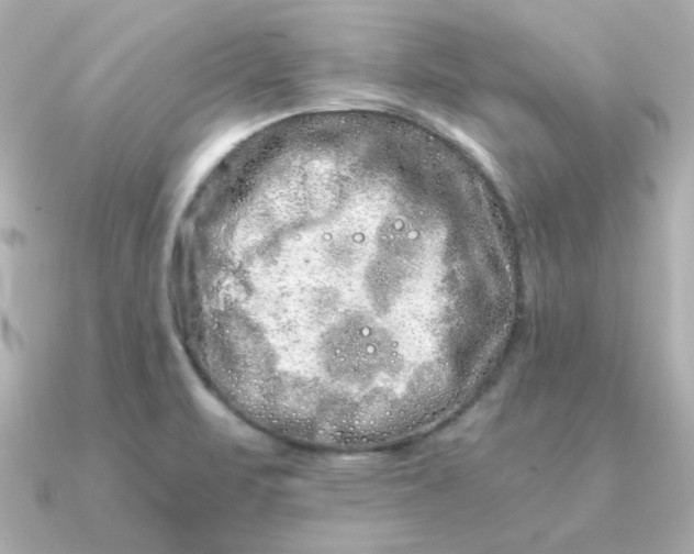 X0000090721471200708101543