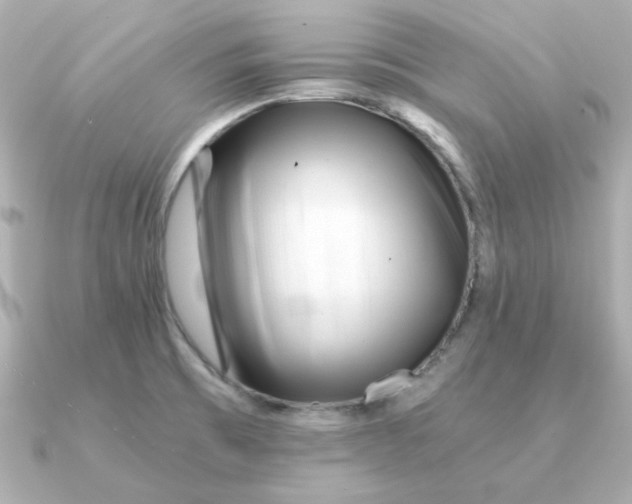 X0000090721473200708101543