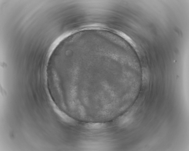 X0000090721474200708101543