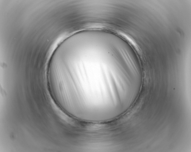 X0000090721475200708101543