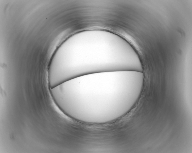 X0000090721476200708101543