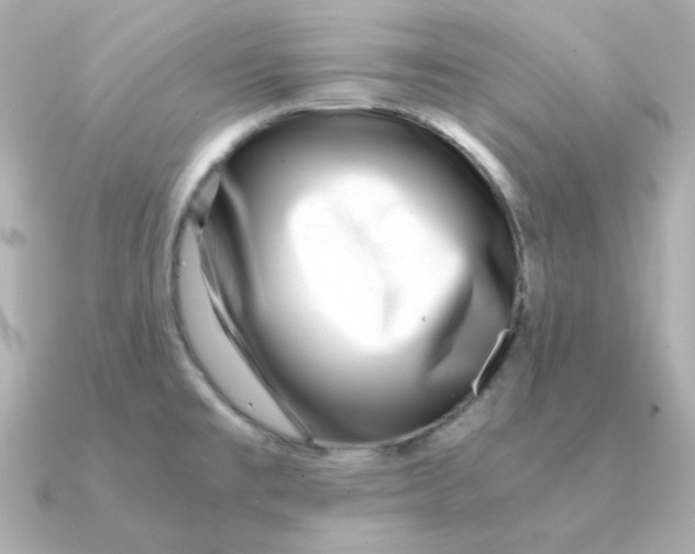 X0000090721477200708101543