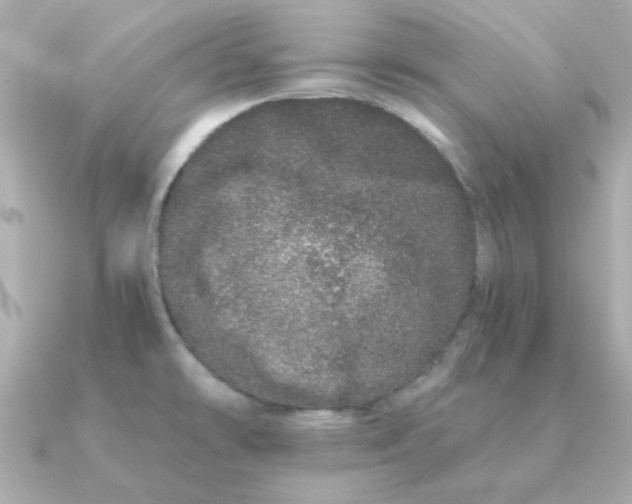 X0000090721478200708101543