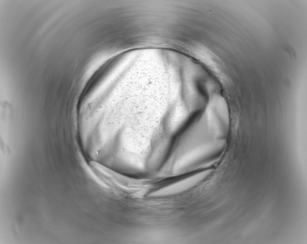 X0000090721479200708101543