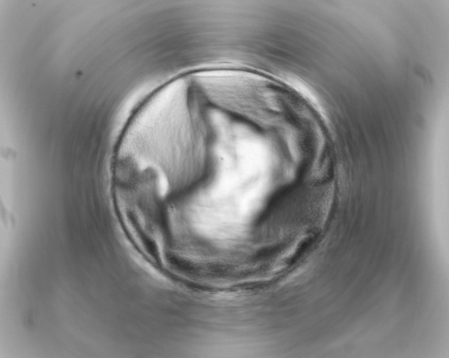 X0000090721480200708101543