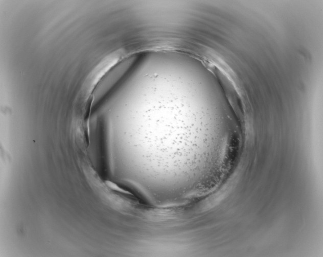X0000090721481200708101543