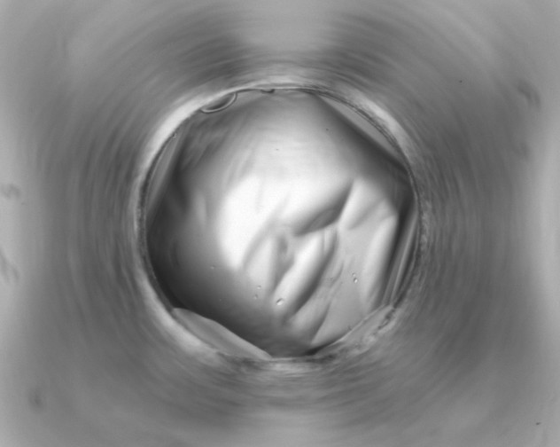 X0000090721483200708101543